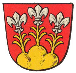 Lauterbach Fahne / Flagge