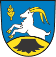 Steinheuterode Fahne / Flagge