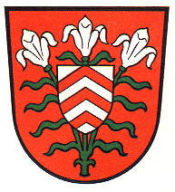 Halle Fahne / Flagge