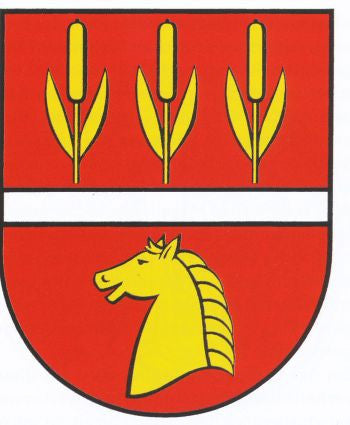 Pampow Fahne / Flagge