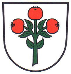 Schwarz Fahne / Flagge