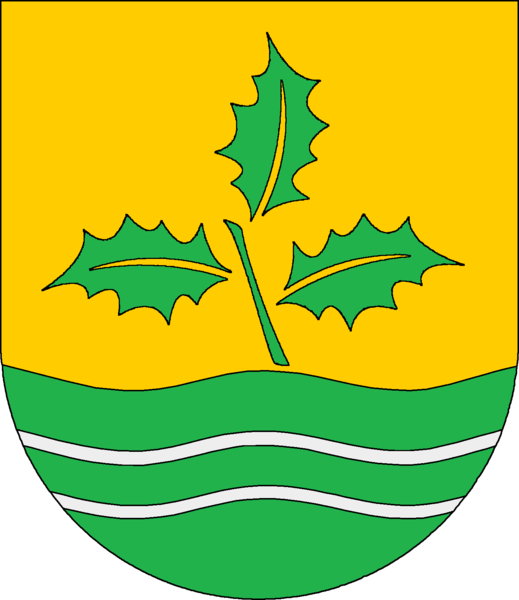 Kattendorf Fahne / Flagge
