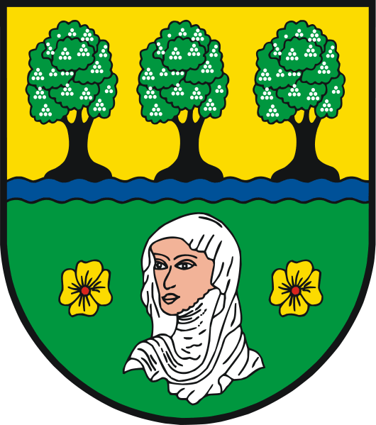 Testorf-Steinfort Fahne / Flagge