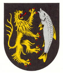 Waldfischbach-Burgalben Fahne / Flagge