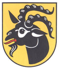 Wallmoden Fahne / Flagge