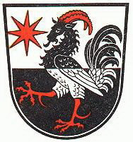 Ziegenhain Fahne / Flagge