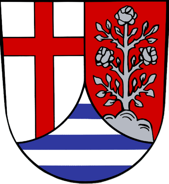 Sinzing Fahne / Flagge