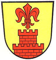 Wachtendonk Fahne / Flagge