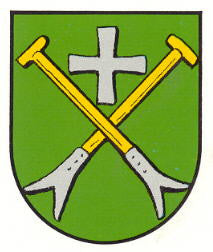 Waldsee Fahne / Flagge