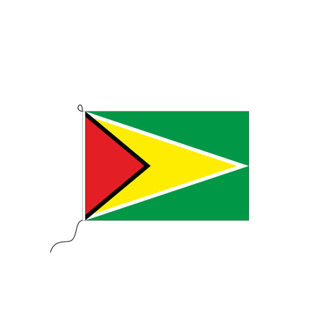 Guyana Kleinfahne