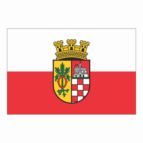 Die Flagge von Ilfeld.