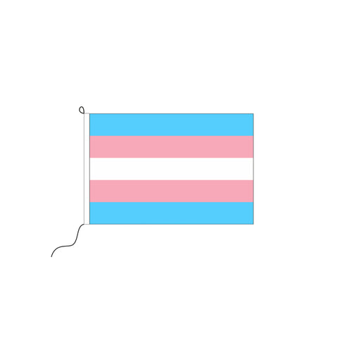 Transgender Kleinfahne