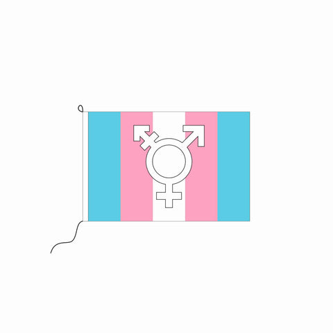Transgender Kleinfahne mit Symbol