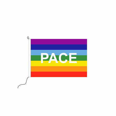 PACE Regenbogen Kleinfahne