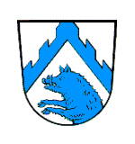 Sünching Fahne / Flagge