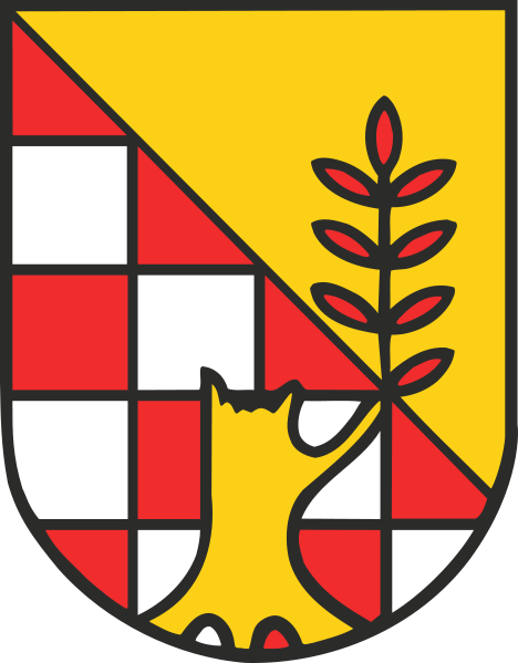 Niedergebra Fahne / Flagge