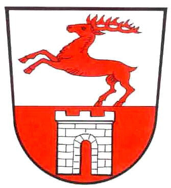 Trabitz Fahne / Flagge