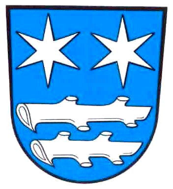 Theisseil Fahne / Flagge