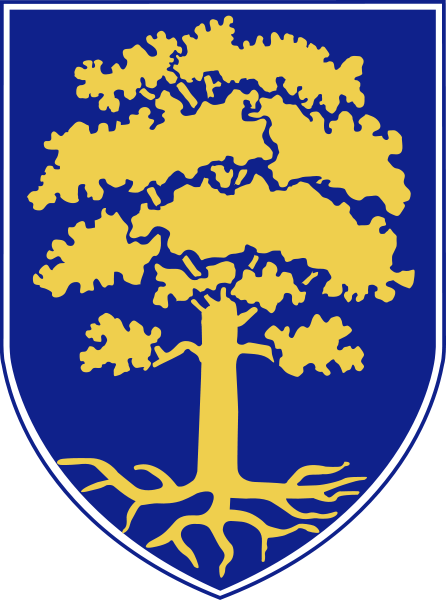 Waldsolms Fahne / Flagge