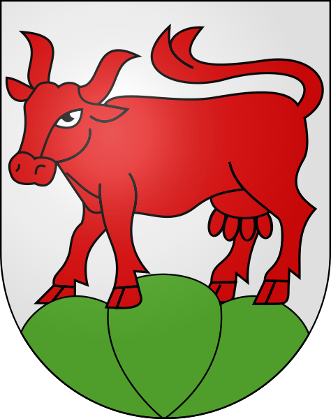 Seehof Fahne / Flagge