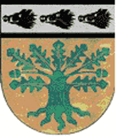 Wallmenroth Fahne / Flagge