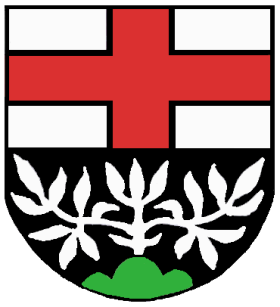 Waldesch Fahne / Flagge