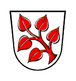 Frauenau Fahne / Flagge