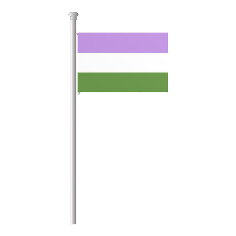 Genderqueer Hissflagge im Querformat