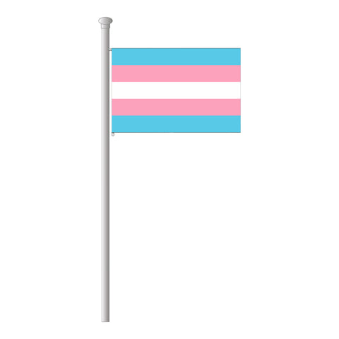 Transgender Hissflagge im Querformat