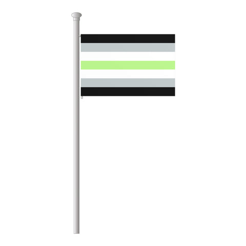 Agender Hissflagge im Querformat
