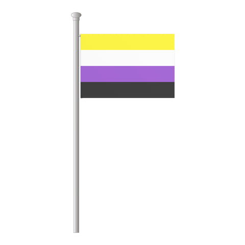 Genderqueer-Nonbinary Hissflagge im Querformat