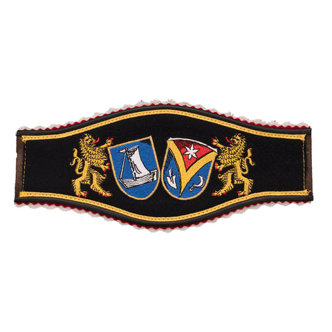 Brustschild mit 2 Löwen und 2 Wappen