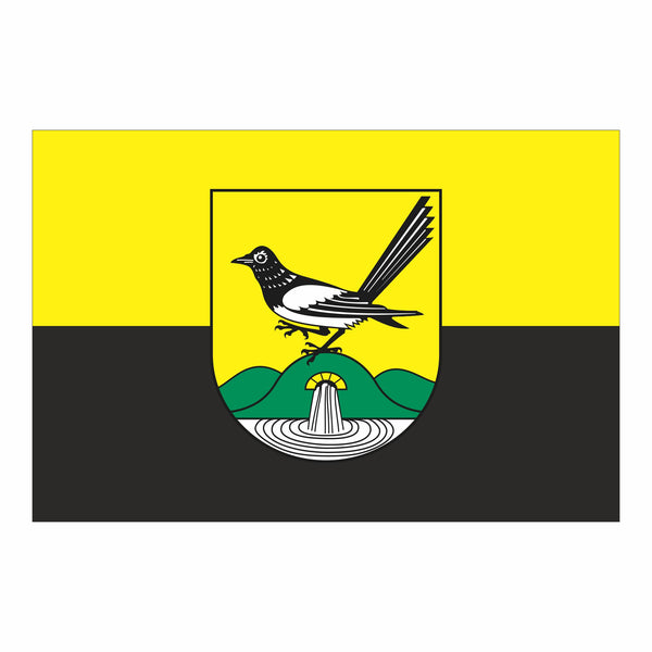 Bad Elster, Stadt Fahne / Flagge