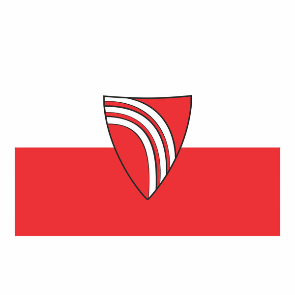 Bidingen Fahne / Flagge