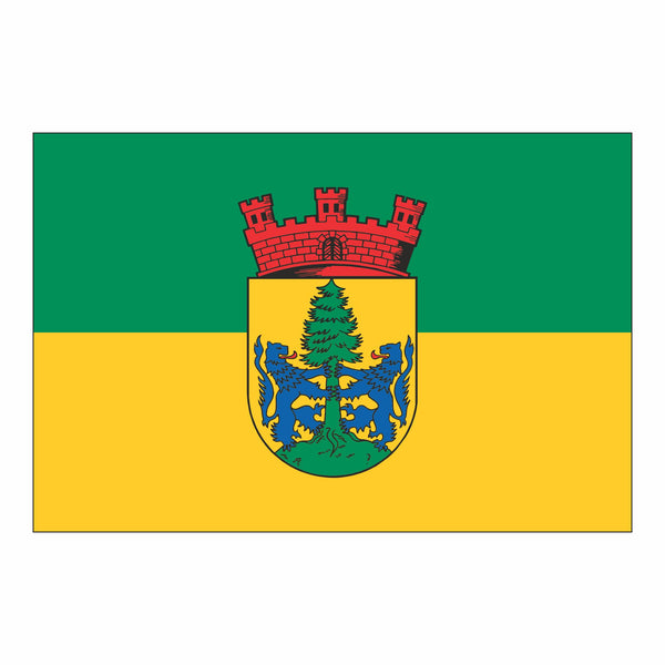 Dannenberg (Elbe), Stadt Fahne / Flagge