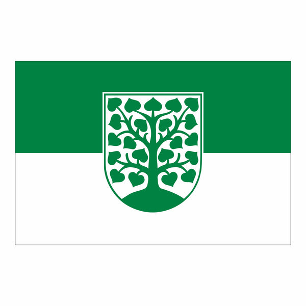 Homburg, Kreisstadt Fahne / Flagge