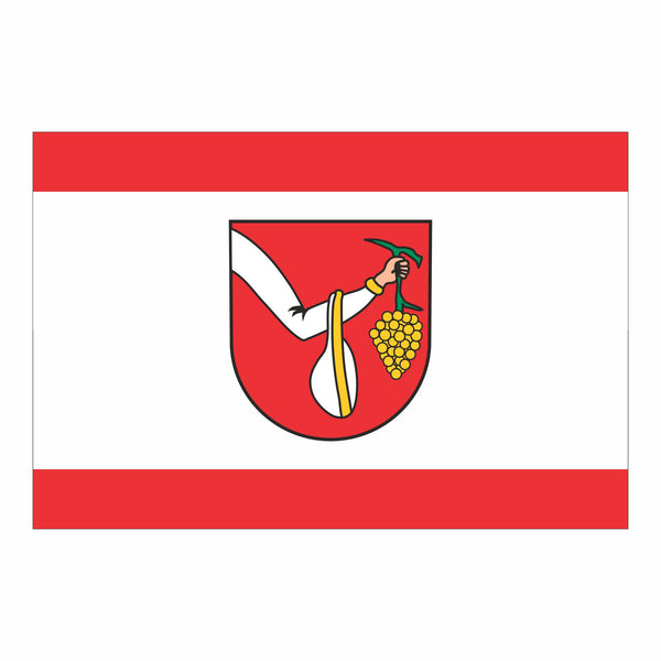 Lösnich Fahne / Flagge