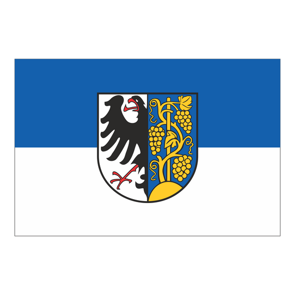 Weinsberg, Stadt Fahne / Flagge