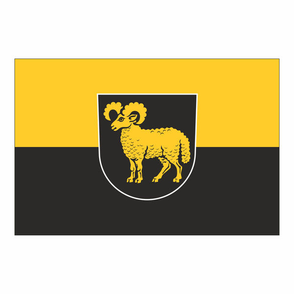 Widdern, Stadt Fahne / Flagge