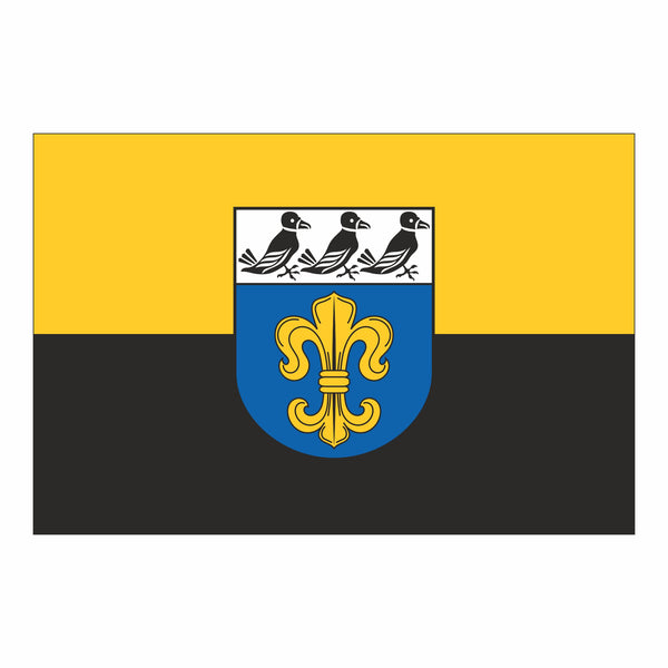 Wiesent Fahne / Flagge