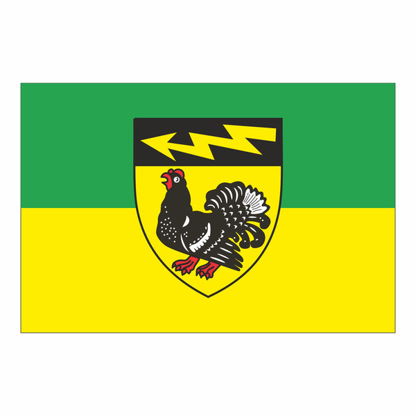 Wiesmoor, Stadt Fahne / Flagge