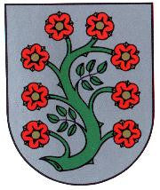 Selfkant Fahne / Flagge