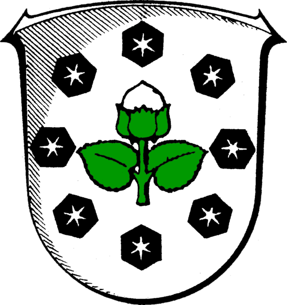 Nüsttal Fahne / Flagge