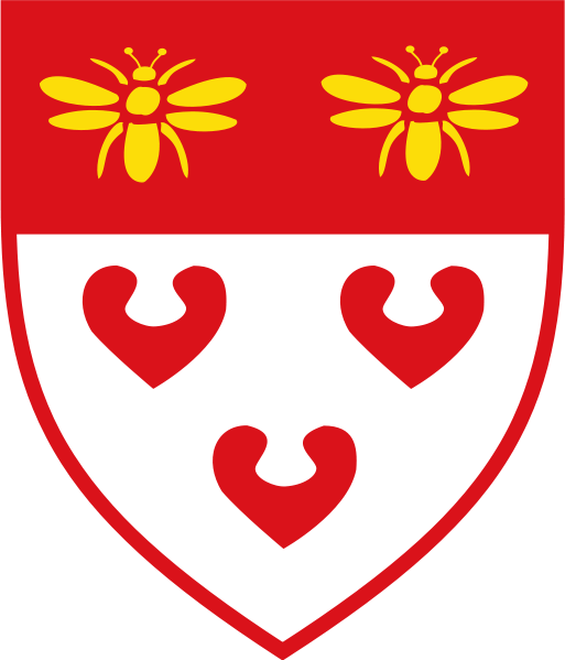 Ladbergen Fahne / Flagge