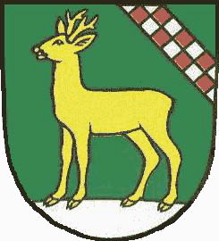 Werder Fahne / Flagge