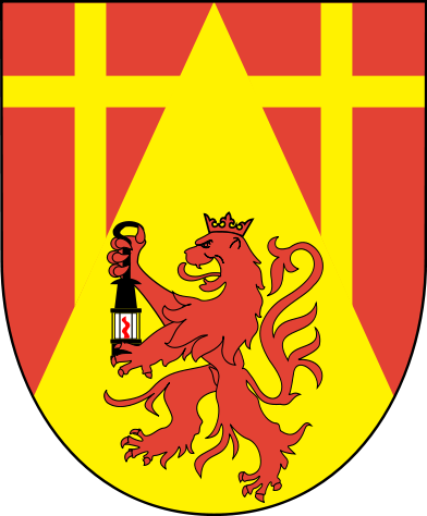 Spiesen-Elversberg Fahne / Flagge