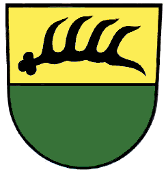 Wangen Fahne / Flagge