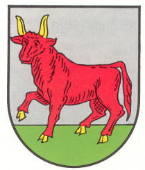 Krottelbach Fahne / Flagge