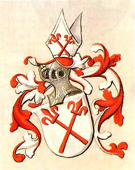 Neidenstein Fahne / Flagge