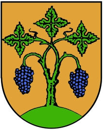 Sörgenloch Fahne / Flagge